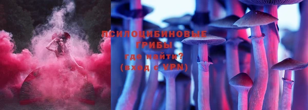 марихуана Новозыбков