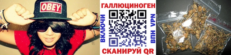 даркнет Telegram  Калининград  Галлюциногенные грибы ЛСД 
