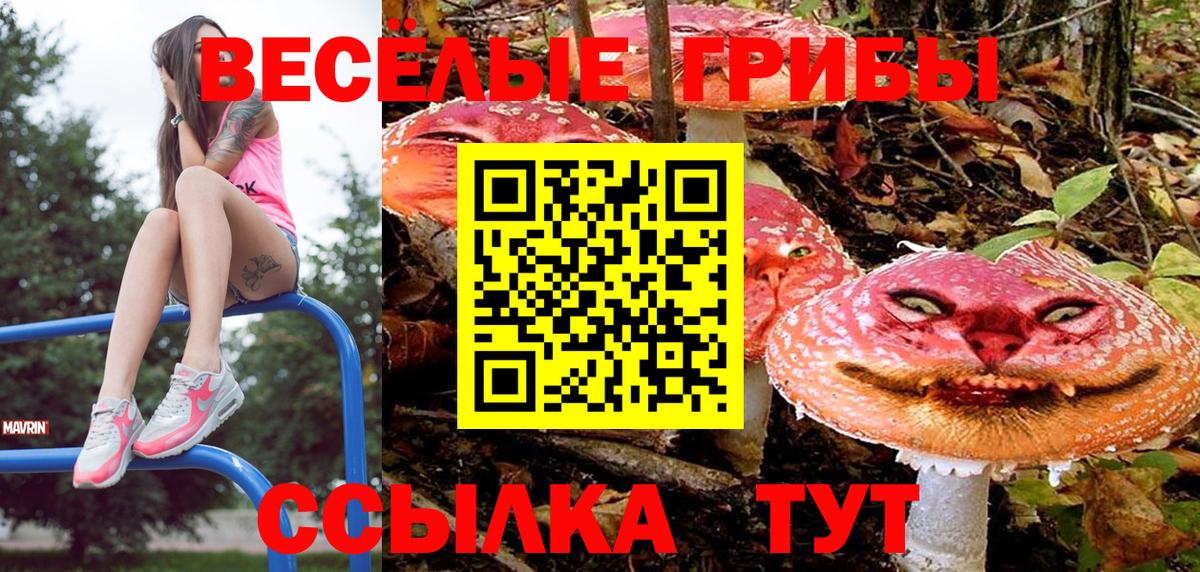 Псилоцибиновые грибы MAGIC MUSHROOMS Калининград