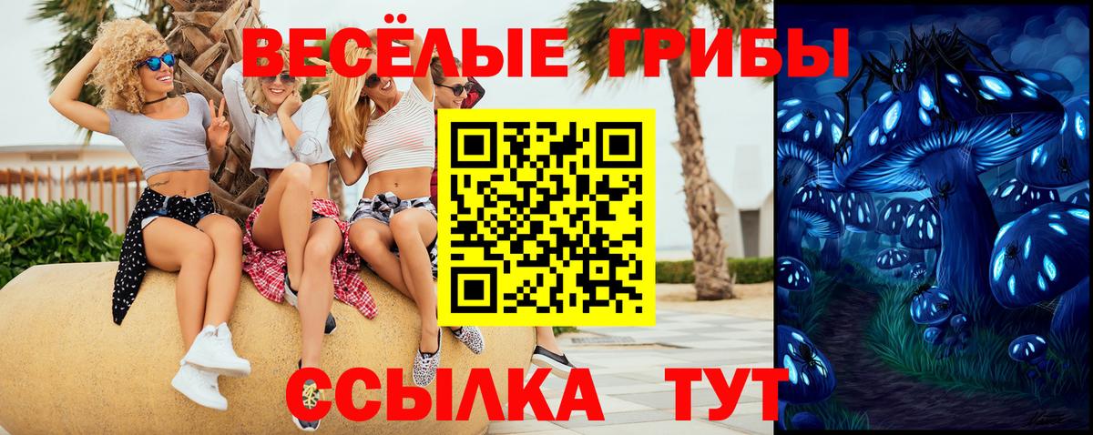 Галлюциногенные грибы Cubensis  дарнет шоп  Калининград 