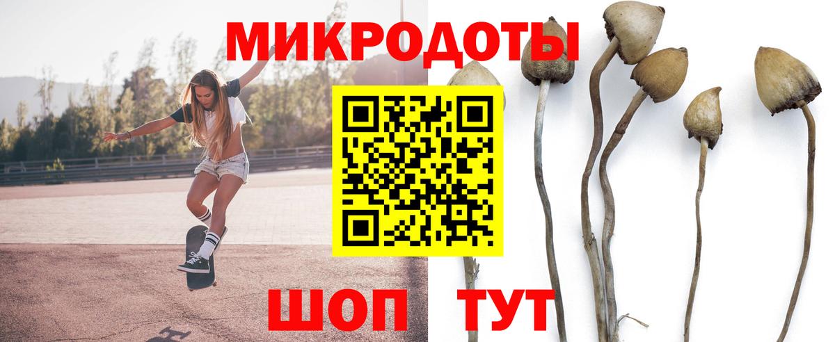 Галлюциногенные грибы MAGIC MUSHROOMS  Вход с VPN  Галлюциногенные грибы Psilocybe  Калининград 